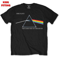 Dark side of the Moon