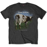 Atom Heart Mother Fade