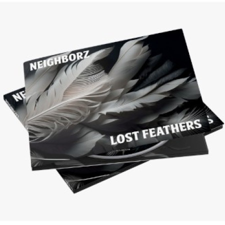 Lost Feathers