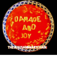 Damage and Joy