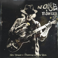 Noise & Flowers